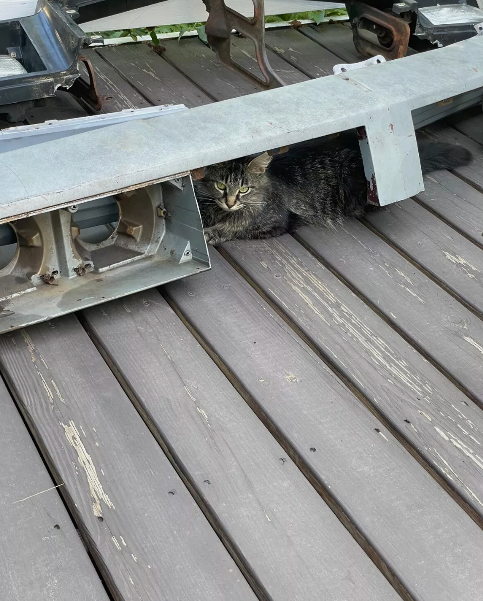 1981-1986 Cutlass Supreme Header Panel front