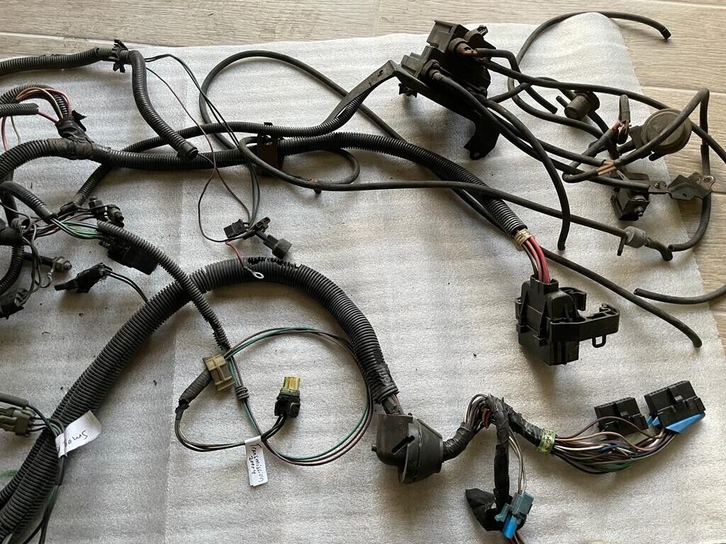1978-1988 Cutlass supreme Wire Harness Euro for Engine Olds 307 V8