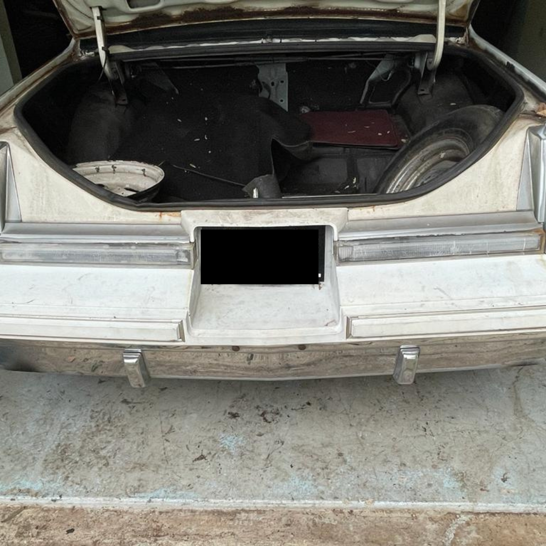 1981-88 Cutlass Supreme Rear Bumper Cover