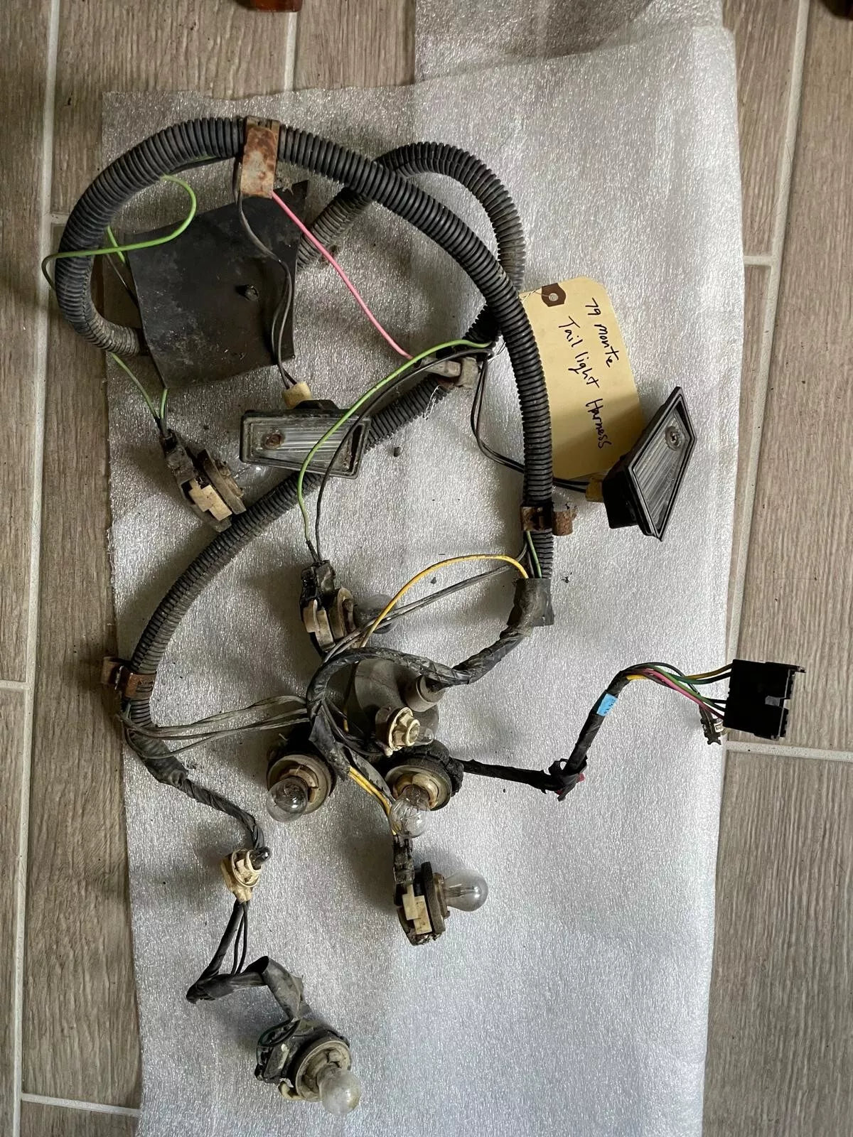 1979-1980 Monte Carlo Tail Light Wiring Harness