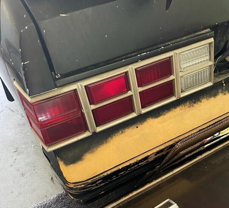1979-1980 Chevy Monte Carlo Tail Lights Pair with bezels LH & RH