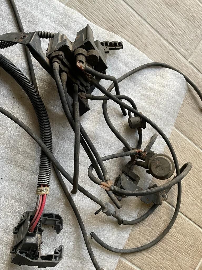 1978-1988 Cutlass supreme Wire Harness Euro for Engine Olds 307 V8